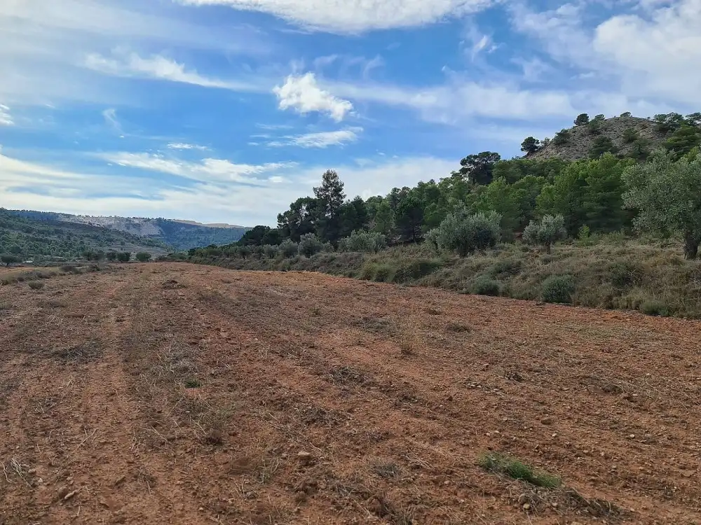 Terreno residencial en venta en El Pinós / Pinoso, imagen 11