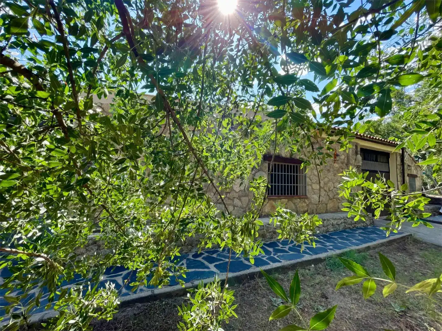 Jardín de Casa o chalet en venta en Casas del Castañar con Jardín privado, Trastero y Piscina