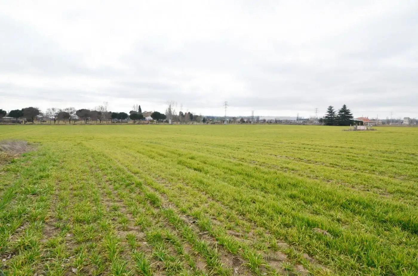 Maison rustique à vendre à Rollo - Puente Ladrillo, imagen 8
