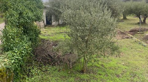 Finca en venta en Sotillo de la Adrada, imagen 3
