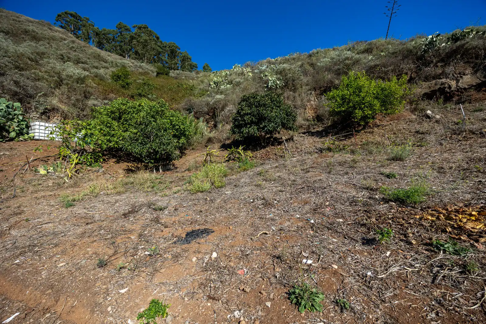 Casa rústica amb jardí en venda a Montaña Alta, imagen 57