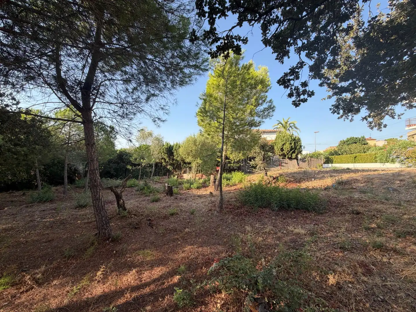 Residential for sale in DE L'EUCALIPTUS, 40, Nord