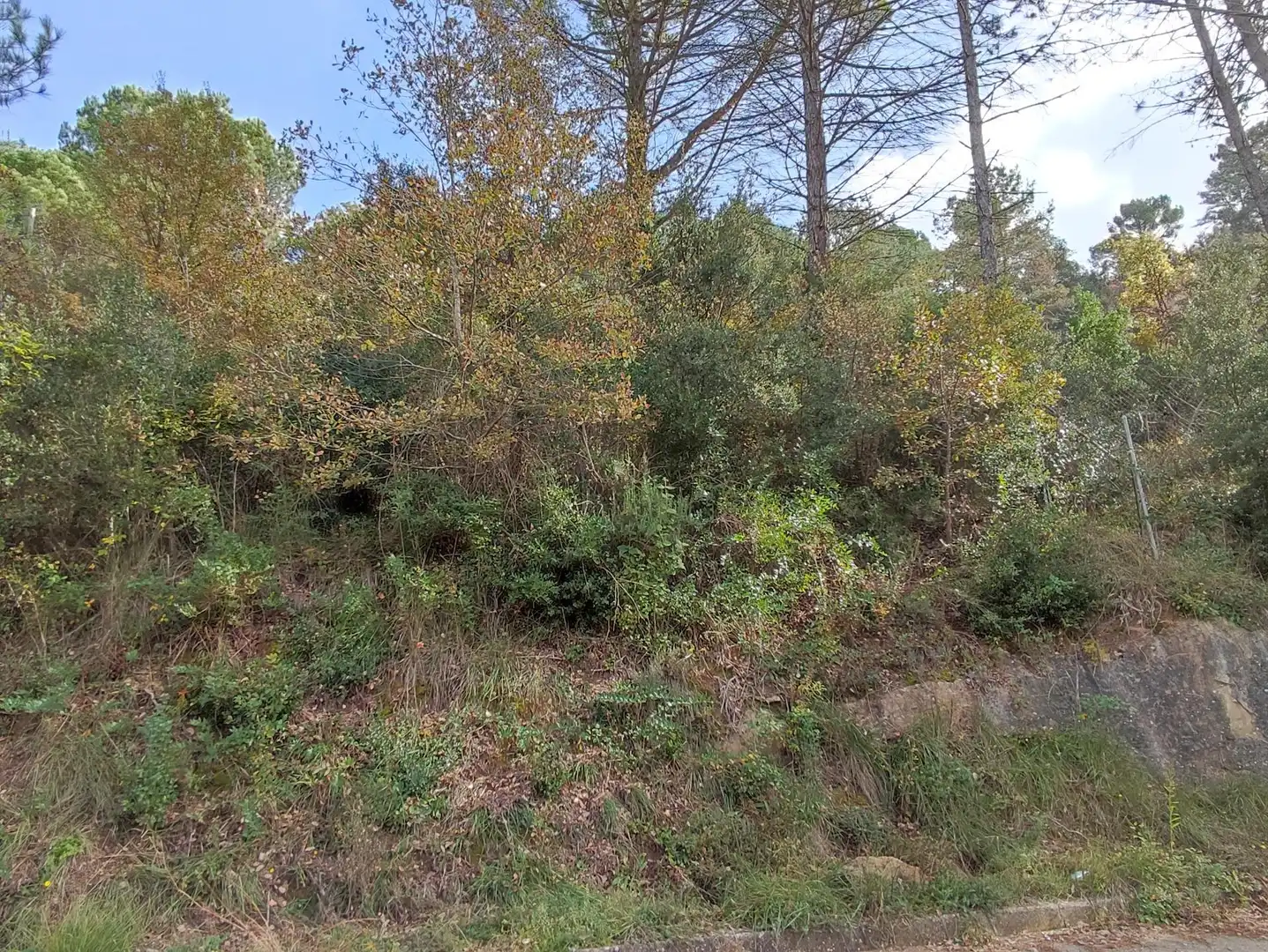 Terrain rustique à vendre à Monistrol de Calders, imagen 6