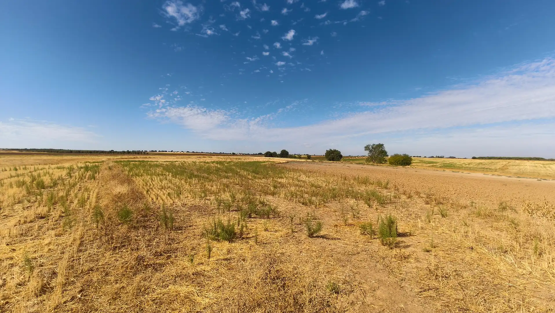 Rural land for sale in Santa Olalla, imagen 7