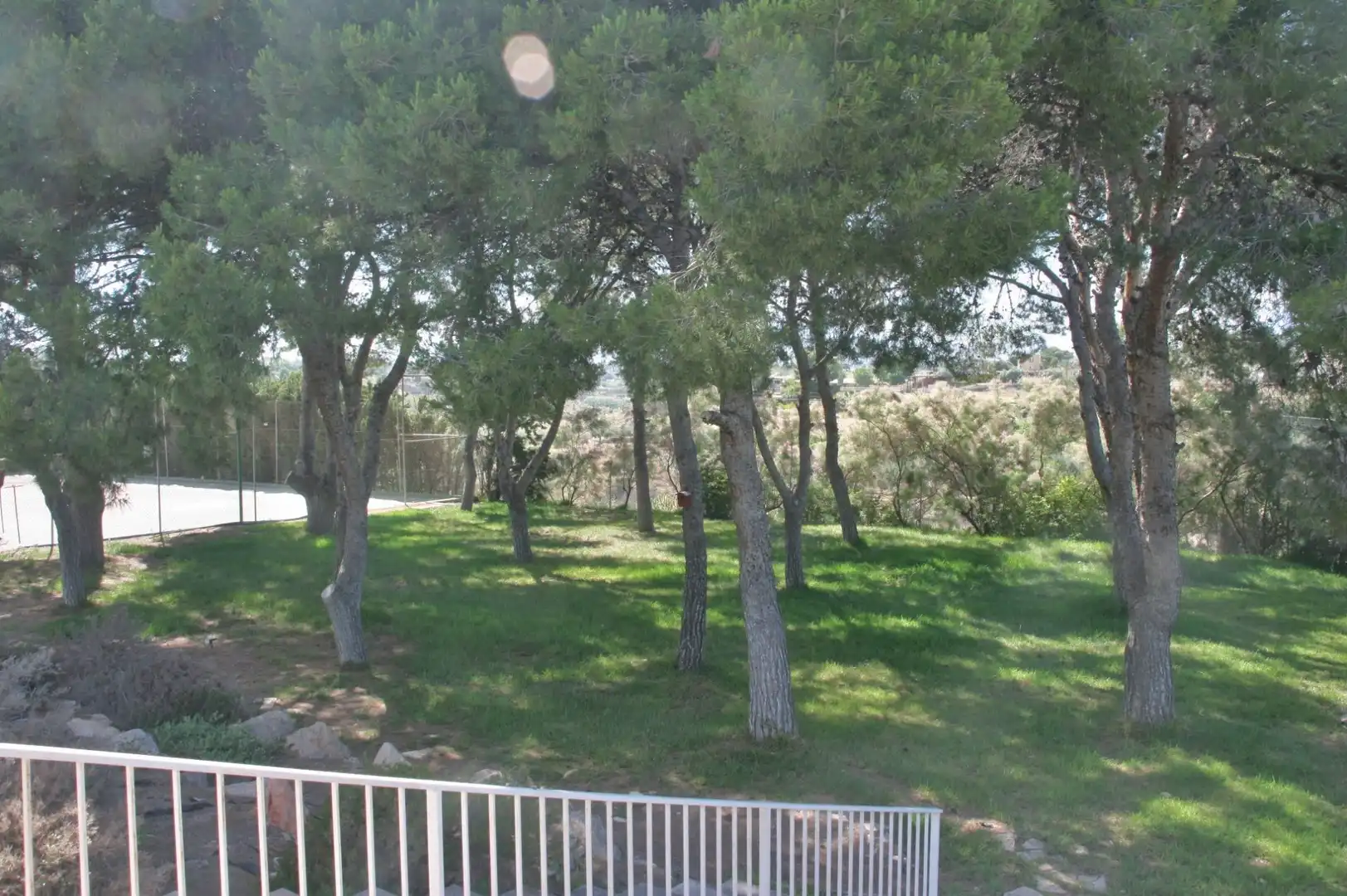Chalet con piscina en venta en Centro, imagen 18