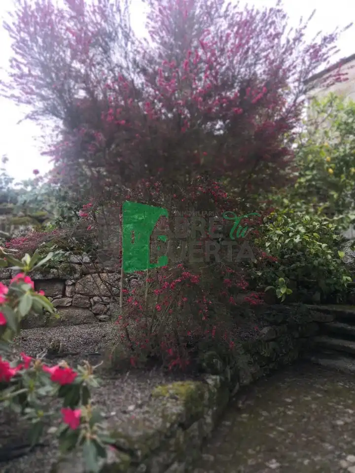 Garden of Country homes for sale in Beade   with Heating and Private garden