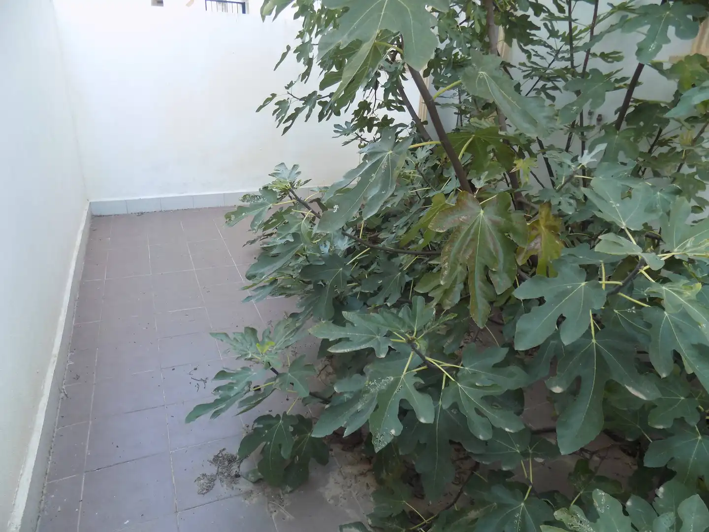 Maison à vendre à Freila, imagen 7