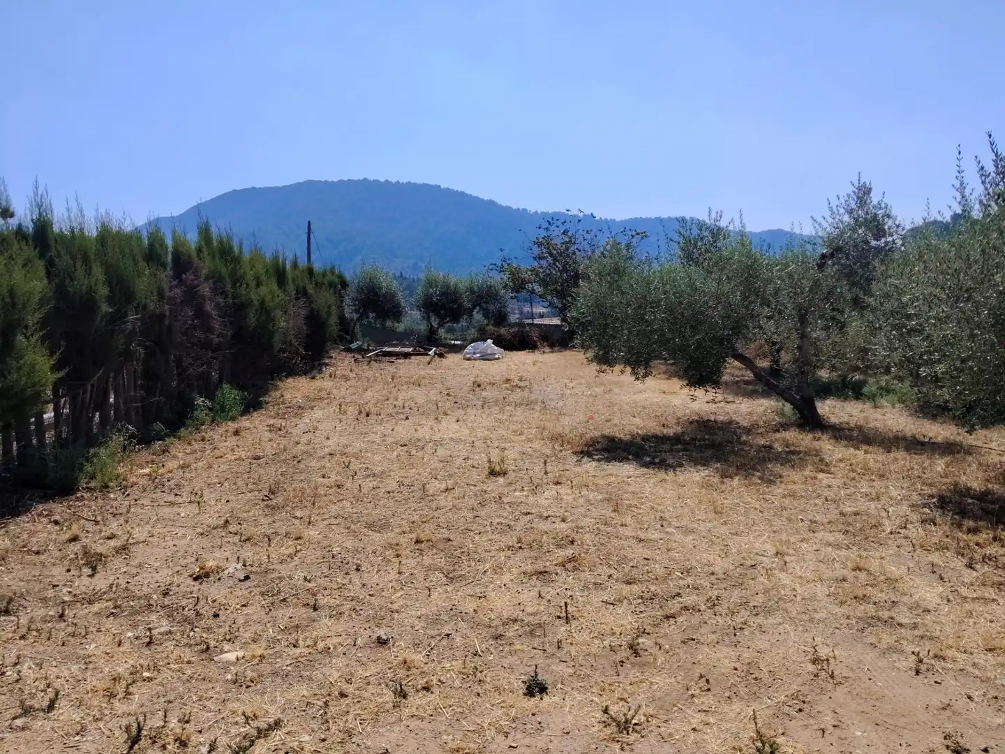 Land for sale in Maspujols
