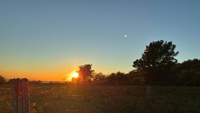 Terreno en Venta en A Lama