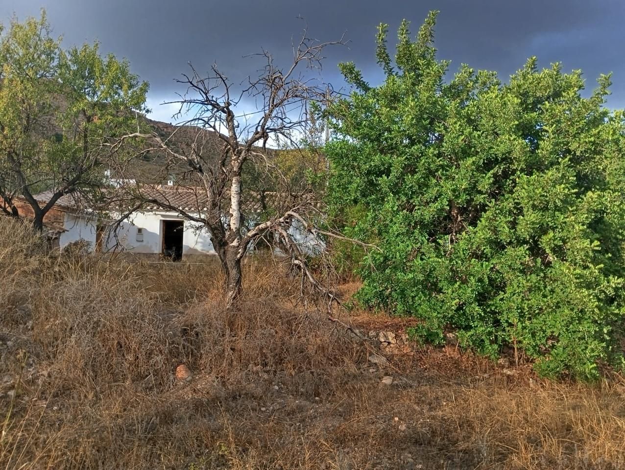 Country house for sale in Bédar  with Private garden and Terrace