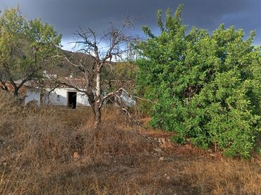 Country house with garden for sale in Barriada los Pinos