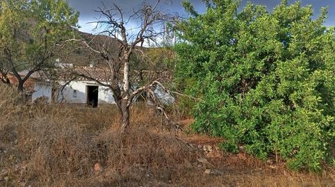 Foto 3 de Finca rústica en venda a Barriada Los Pinos, Bédar, Almería