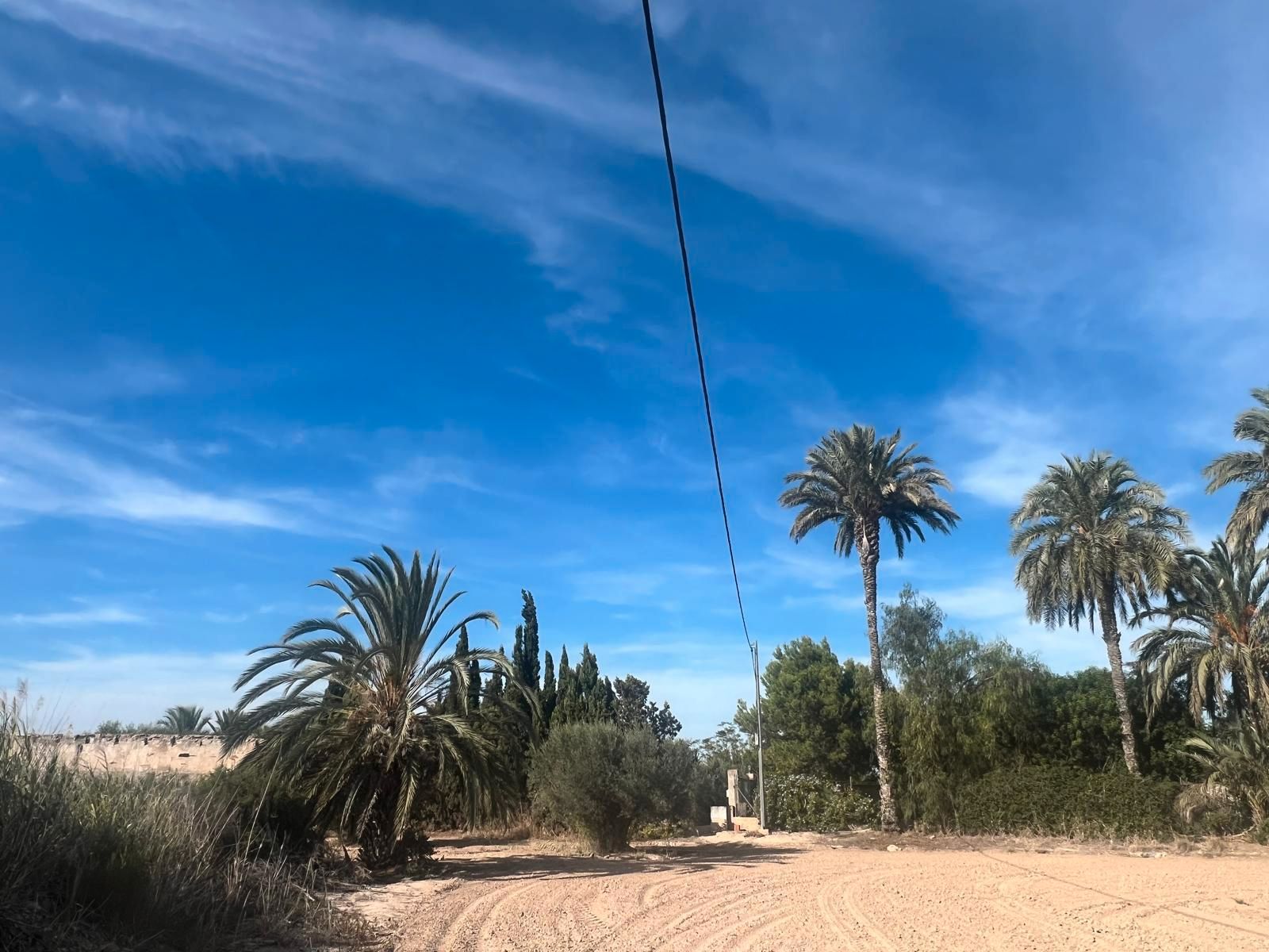 Exterior view of Land for sale in Elche / Elx