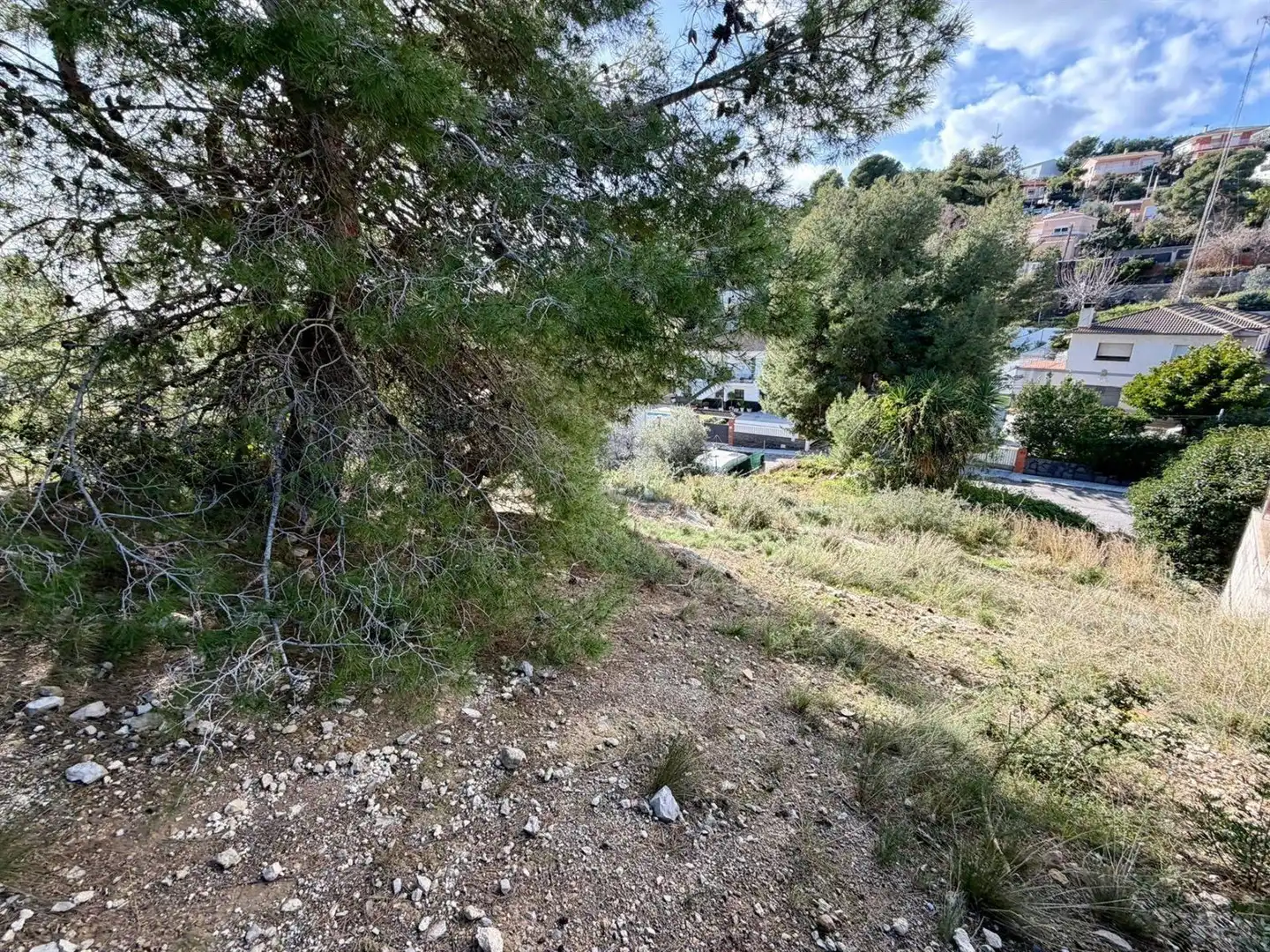 Terreno rustico in vendita a Torre Dels Escipions, imagen 7