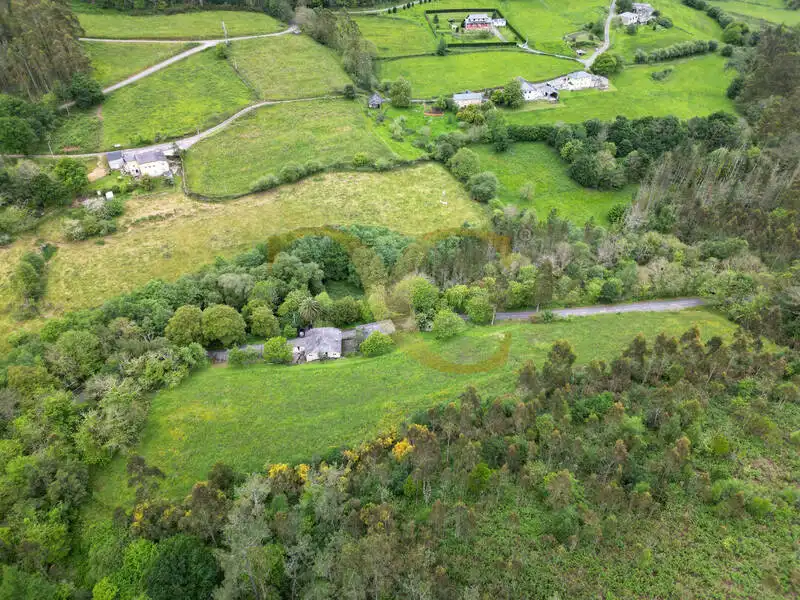 Casa o chalet en venta en Coaña