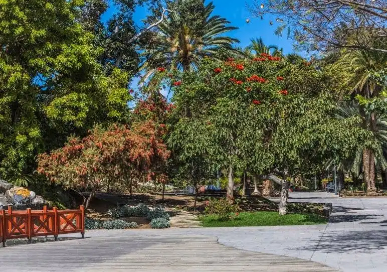 Vista exterior de Casa o xalet en venda en Las Palmas de Gran Canaria amb Terrassa, Piscina i Balcó
