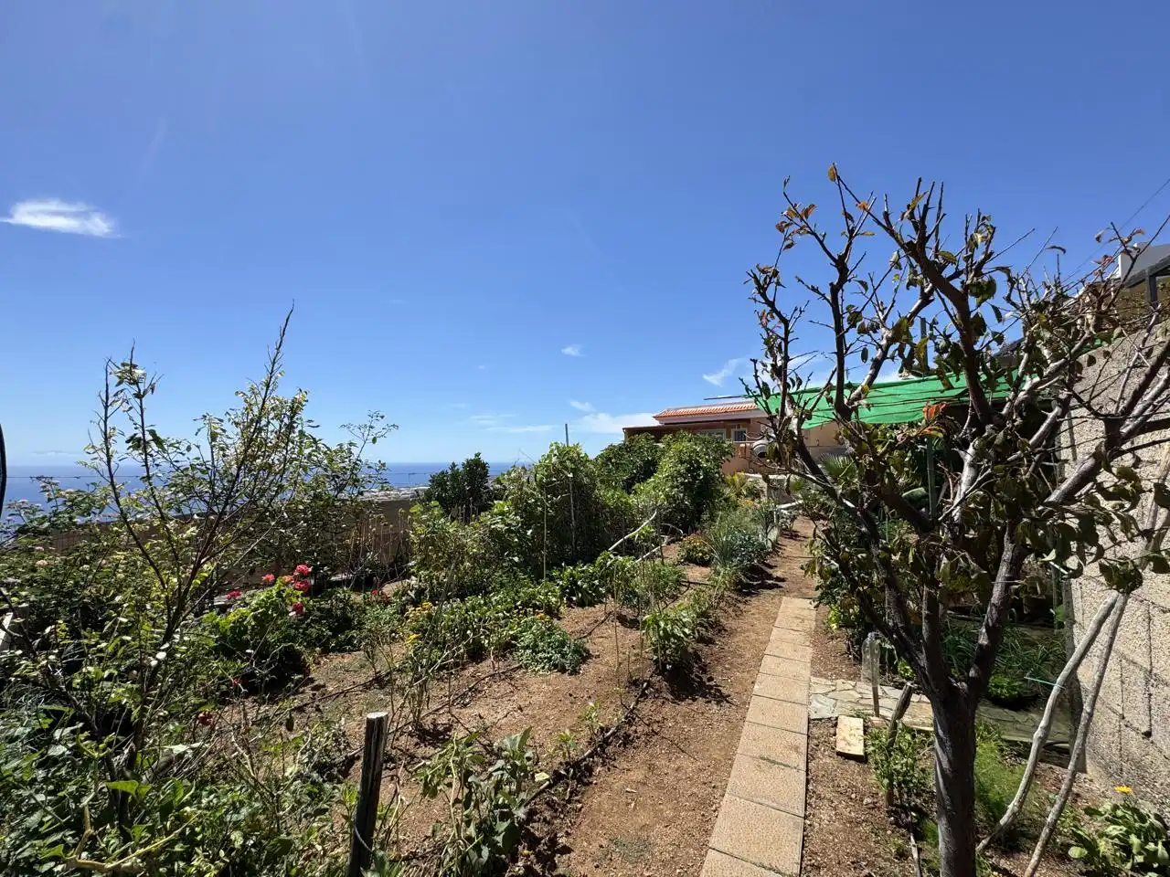 Casa o chalet en venta en La Medida, Araya