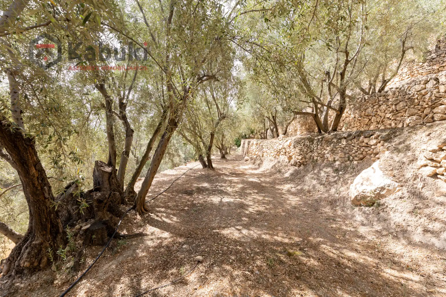 Terreno rustico in vendita a Pinar El - Pantano de Beznar, imagen 4