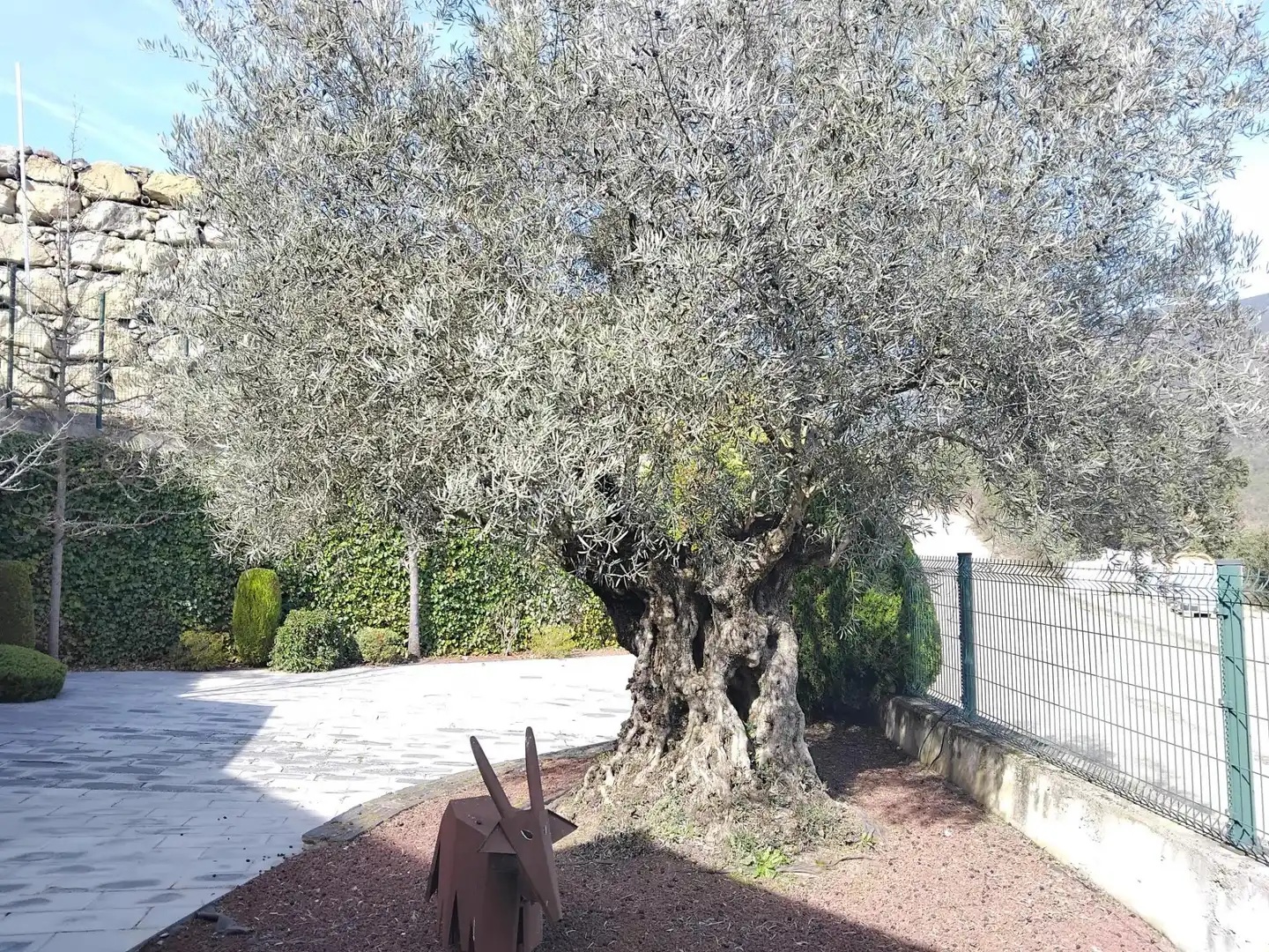 Garden of Houses for sale in Montferrer i Castellbò  with Heating
