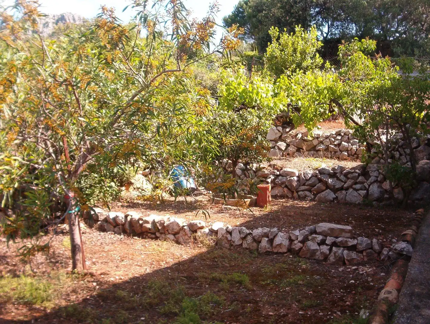 Country house for sale in Tàrbena, imagen 19