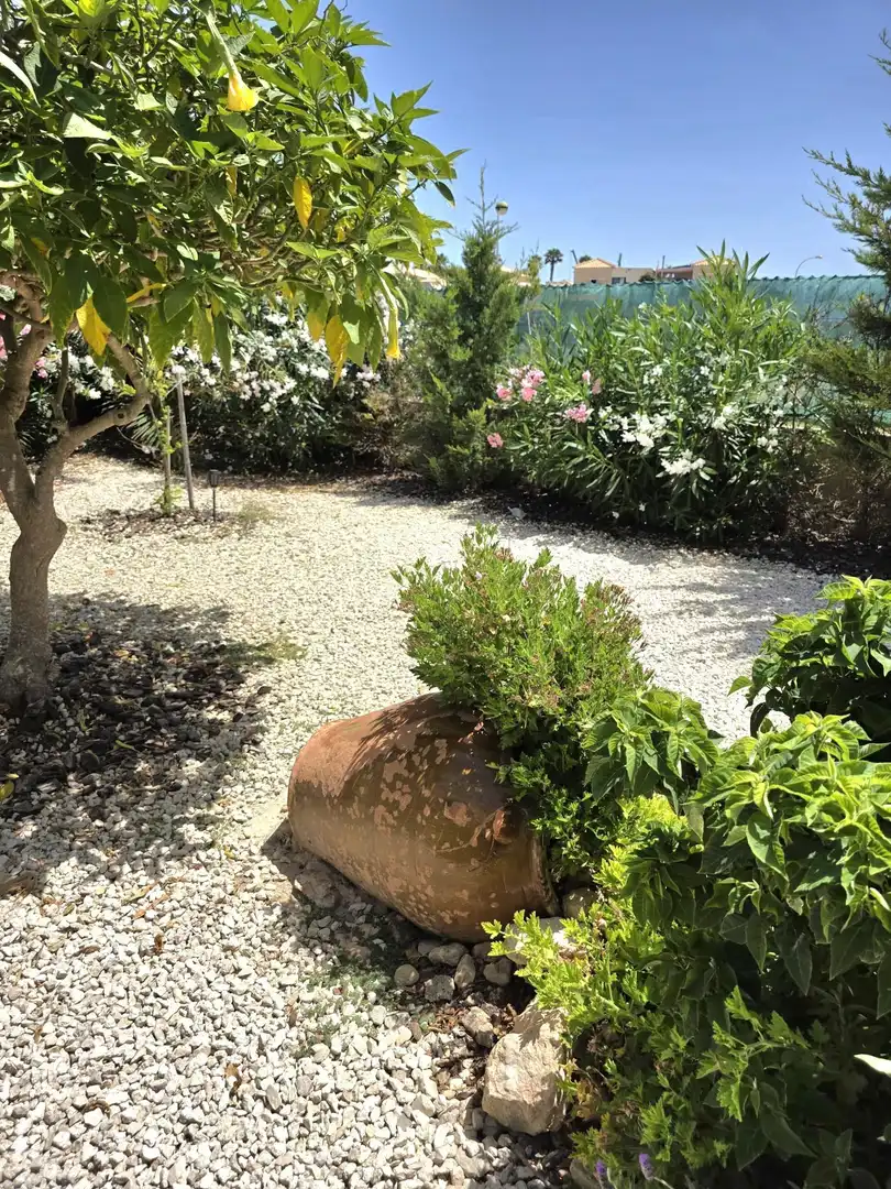Jardí de Casa o xalet en venda en Torrevieja amb Aire condicionat, Jardí privat i Terrassa