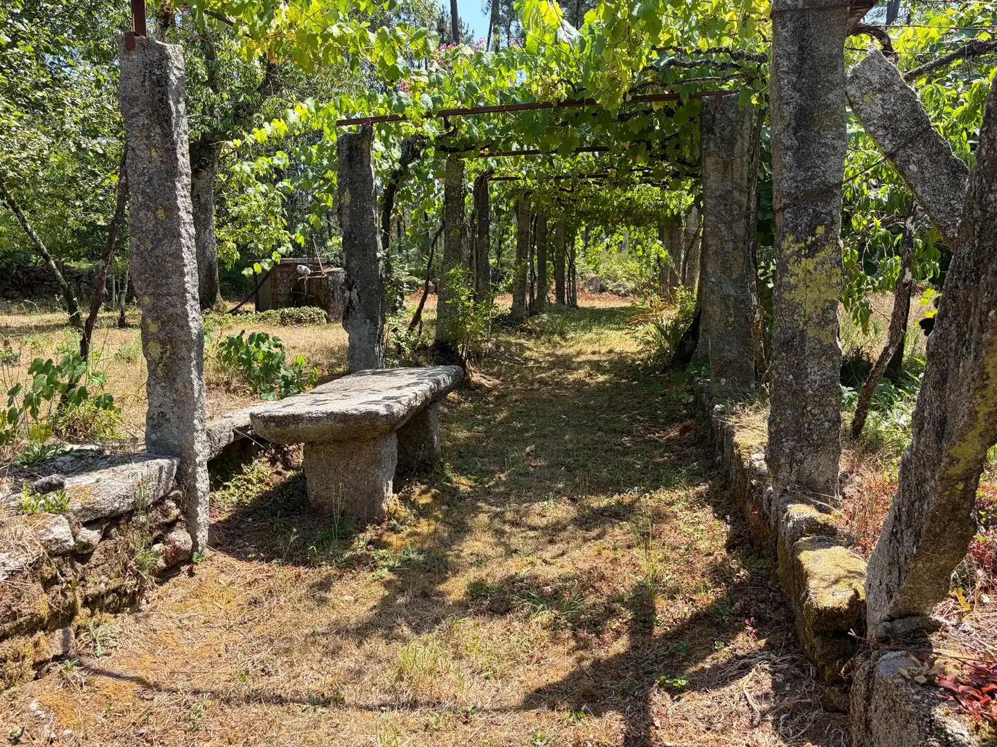 Jardí de Casa o xalet en venda en Salvaterra de Miño amb Jardí privat i Parquet