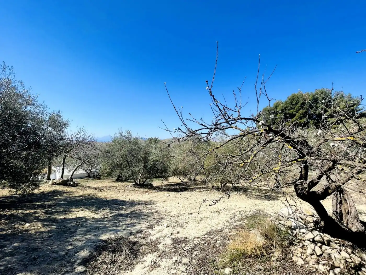 Casa rústica en venda a Bobadilla - Bobadilla Estación - La Joya, imagen 20