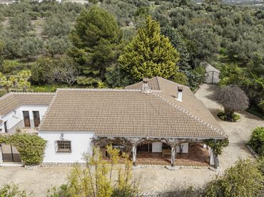 Casa amb piscina en venda a Periana