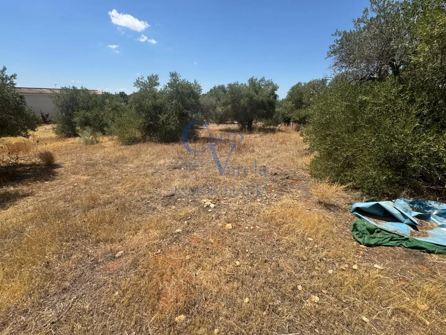 Terreni e lotti in vendita a Arco Norte - Avda España, imagen 10