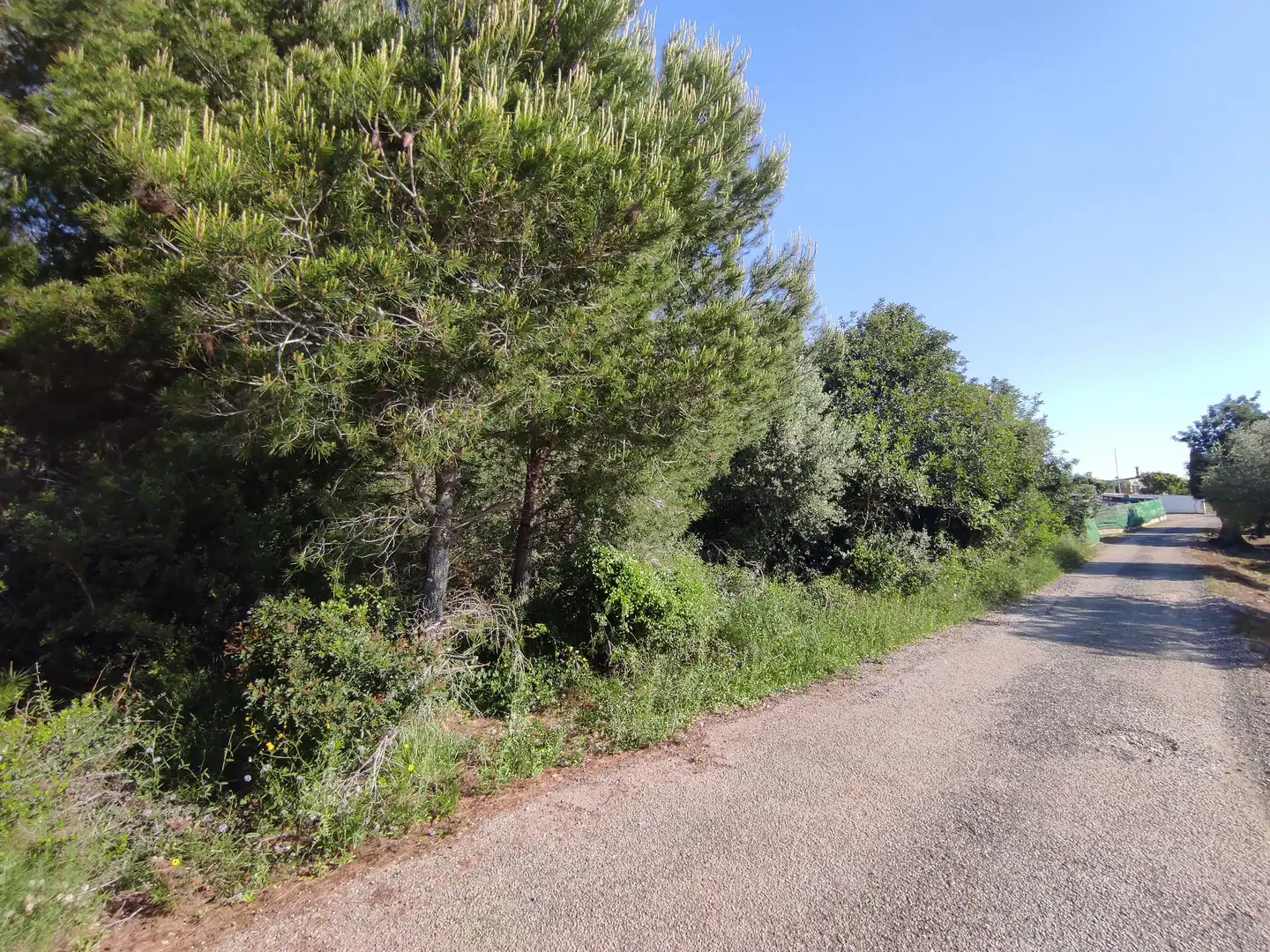 Rural land for sale in Alcanar, imagen 6