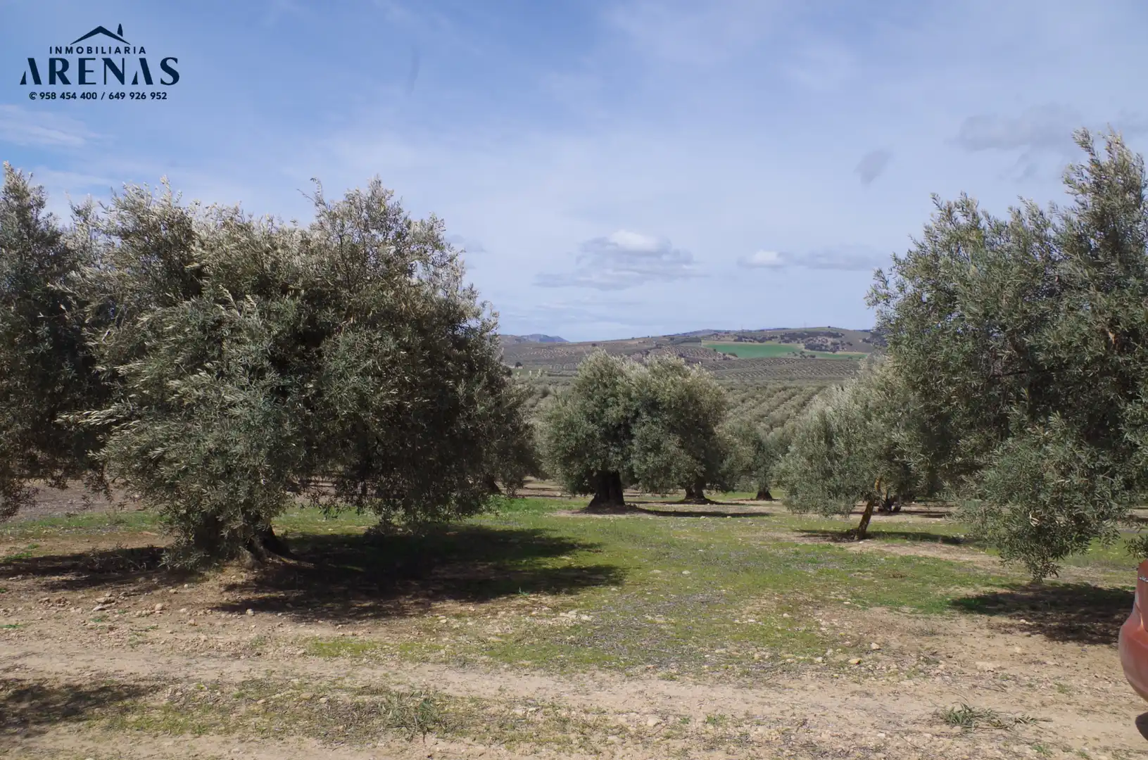 Residential land for sale in Íllora, imagen 9