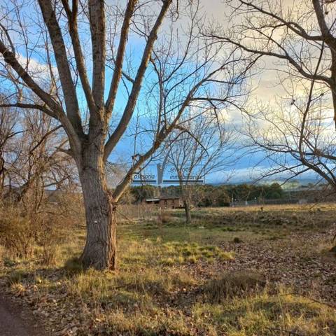 Terreno en Venta en POLIGONO 25 PARCELA 209 CALATAYUD en Plaza de Toros - Barón de Warsage