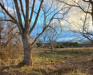 Land for sale in Calatayud