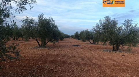 Foto 4 de Finca rústica en venta en Valdepeñas, Ciudad Real