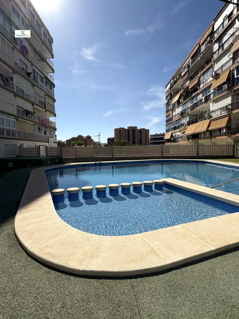 Swimming pool of Study for rent in Alicante / Alacant  with Air Conditioner, Furnished and Community pool