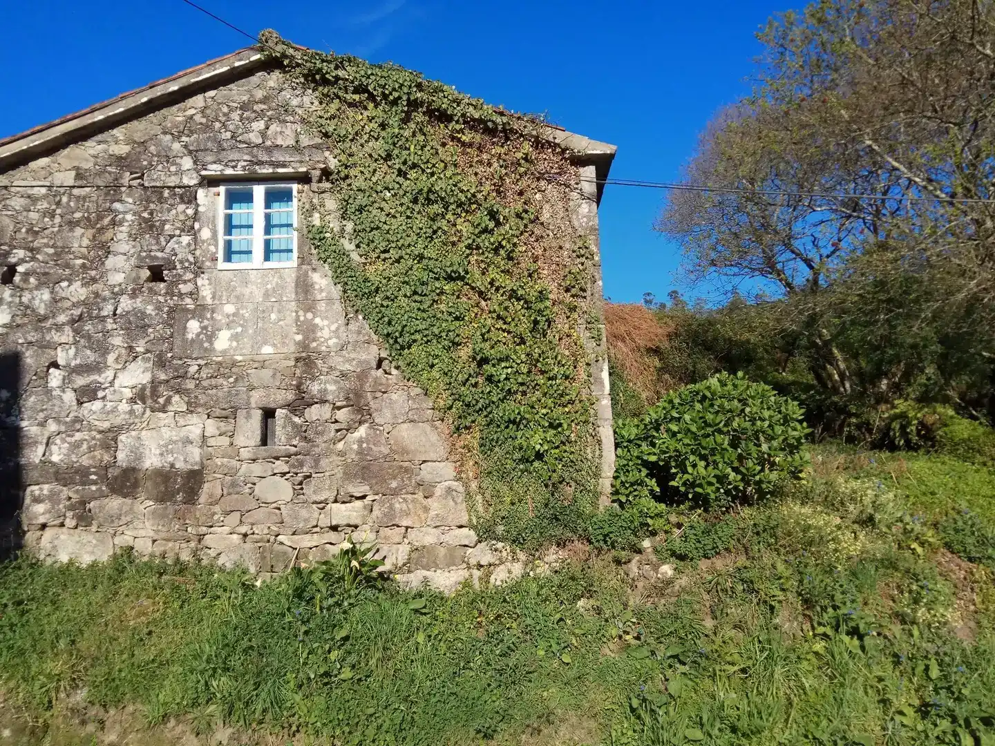 Vista exterior de Finca rústica en venta en Outes