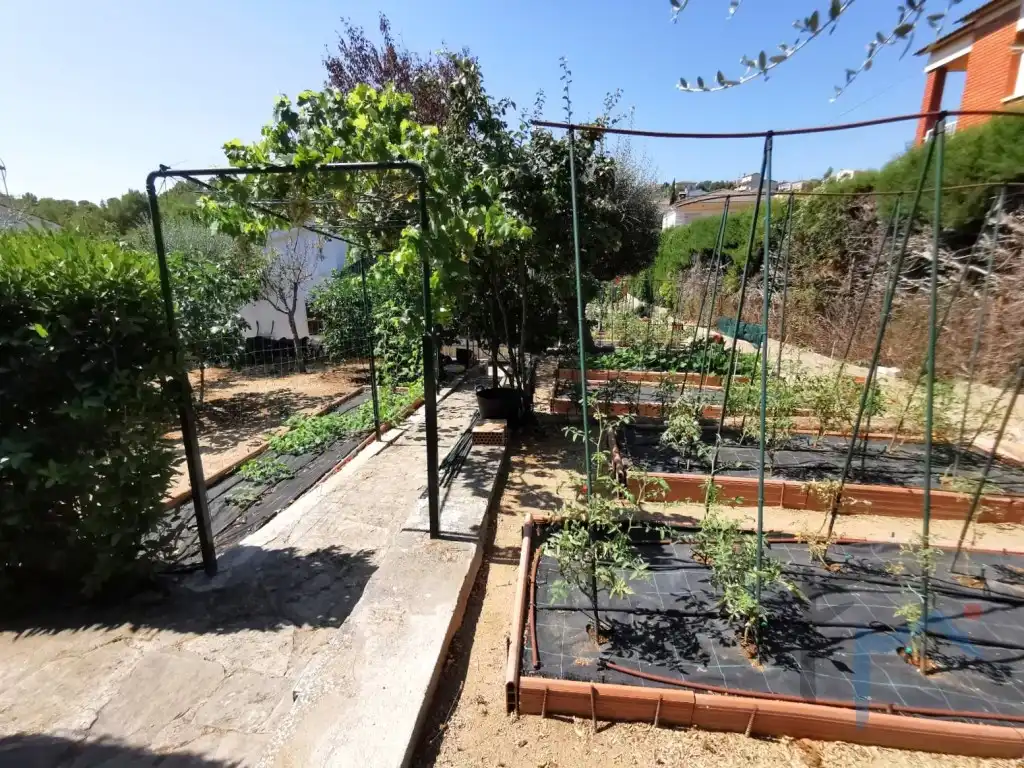 Jardí de Casa o xalet en venda en Cabrera d'Anoia