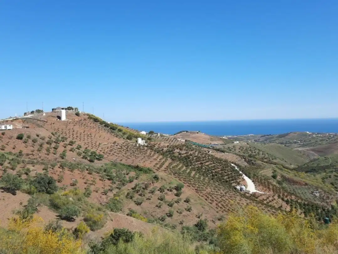 Bungalow zur Miete in Poblado Cajiz 3D