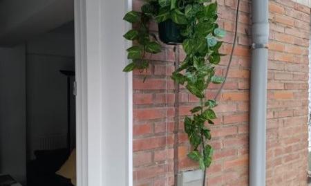 Photo 3 of Flat to rent in Las Arenas, Getxo