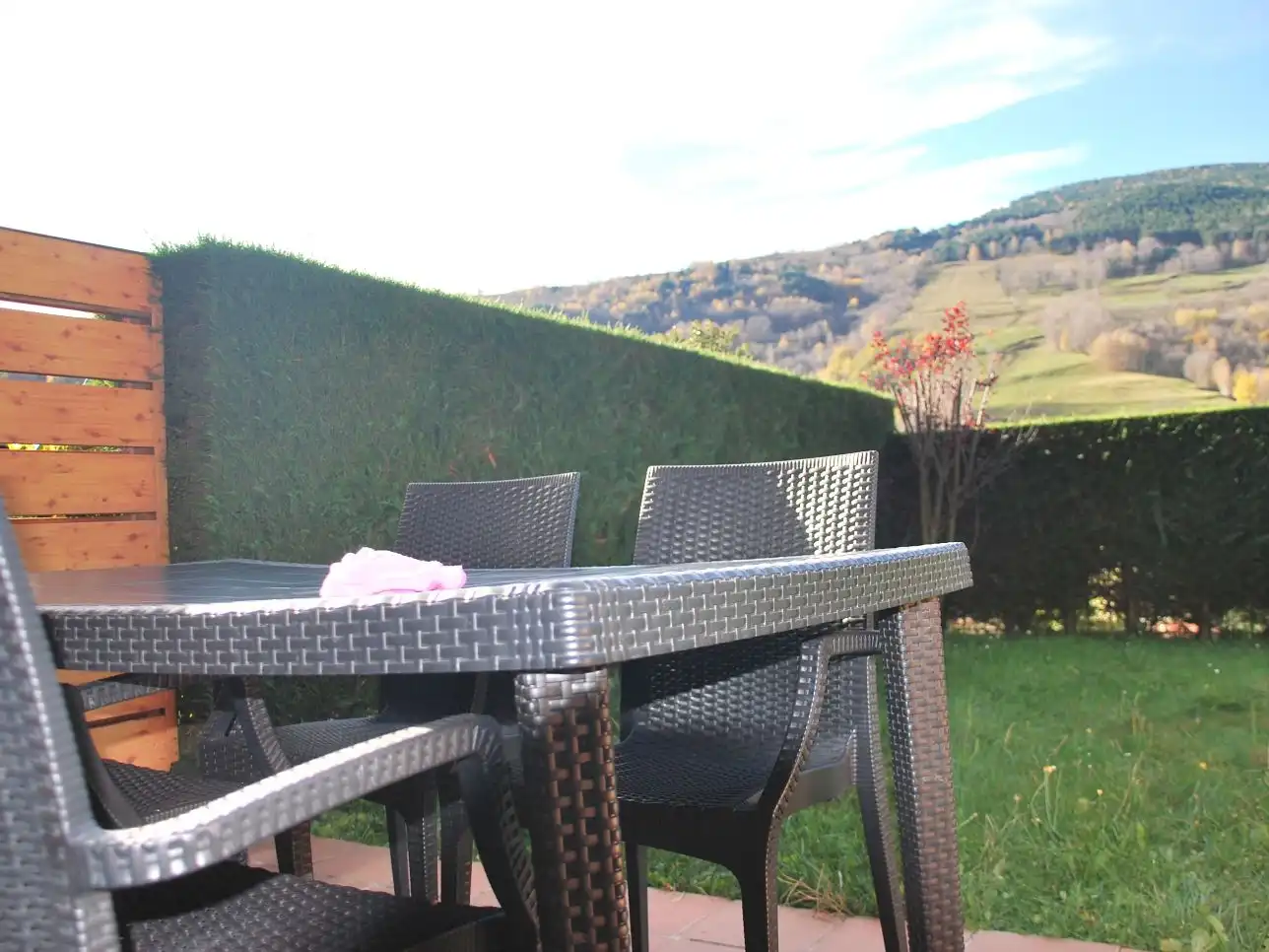 Apartament amb jardí en venda a Carrer del Quintà 8, imagen 21