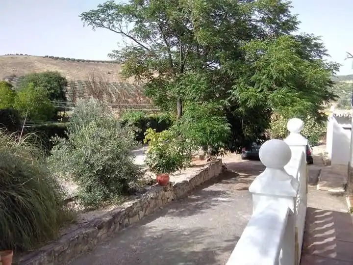 Jardín de Casa o chalet de alquiler en Baena con Aire acondicionado, Jardín privado y Terraza