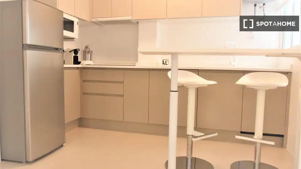 Kitchen of Apartments for share in Alicante / Alacant  with Air Conditioner, Terrace and Furnished
