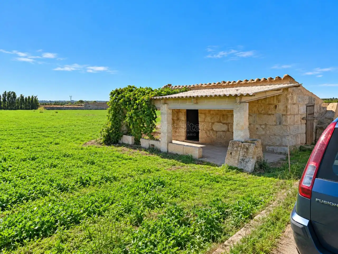 Terrain rustique à vendre à Sa Pobla, imagen 7