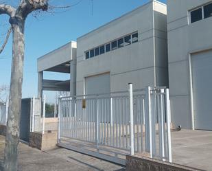 Exterior view of Industrial buildings to rent in Amposta