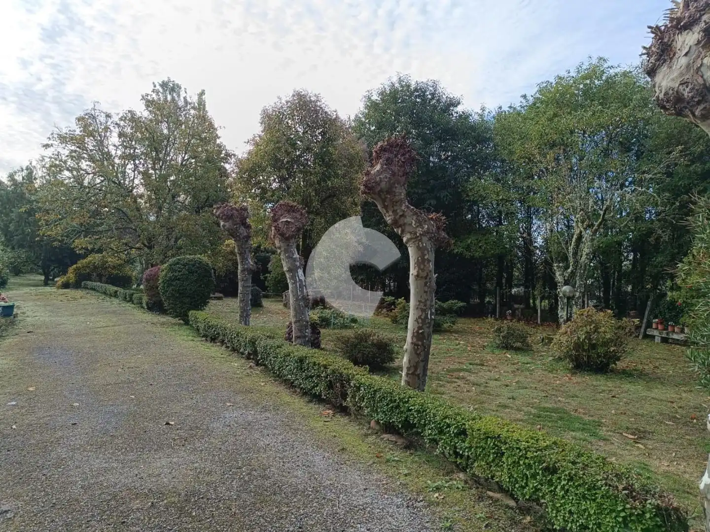 Garden of Houses for sale in Ourense Capital   with Private garden