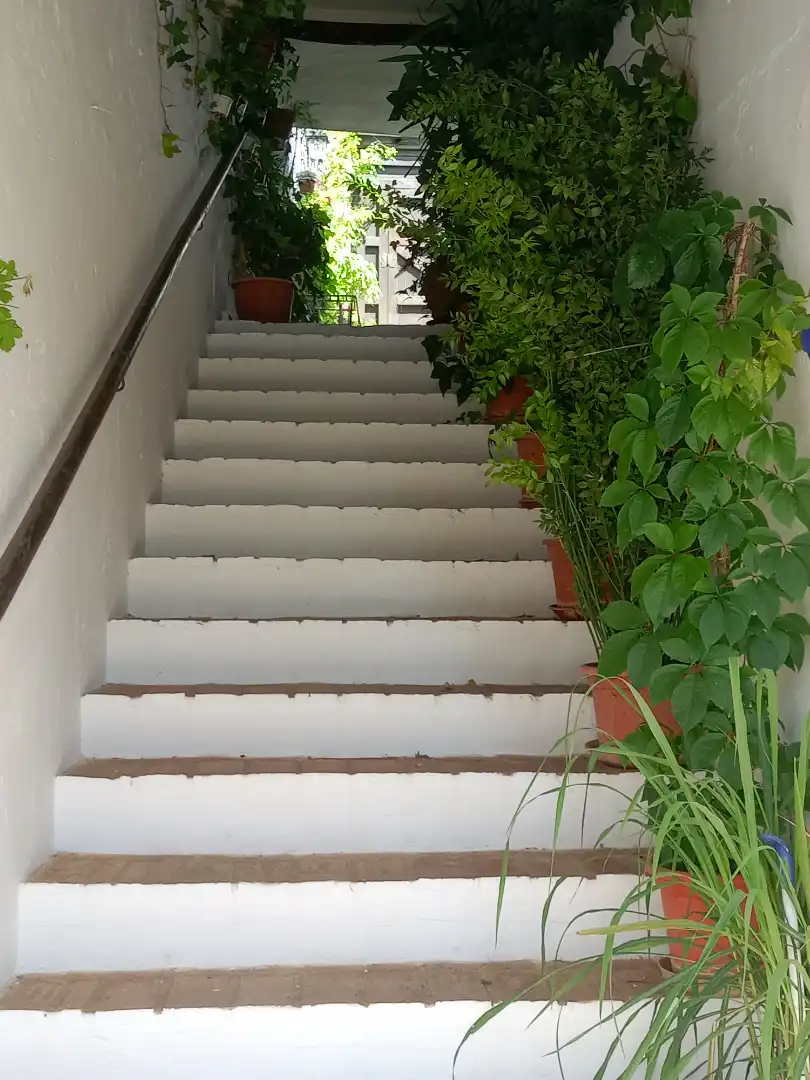 Garden of Apartments for sale in Alpujarra de la Sierra  with Balcony