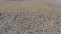 Residential for sale in Simancas