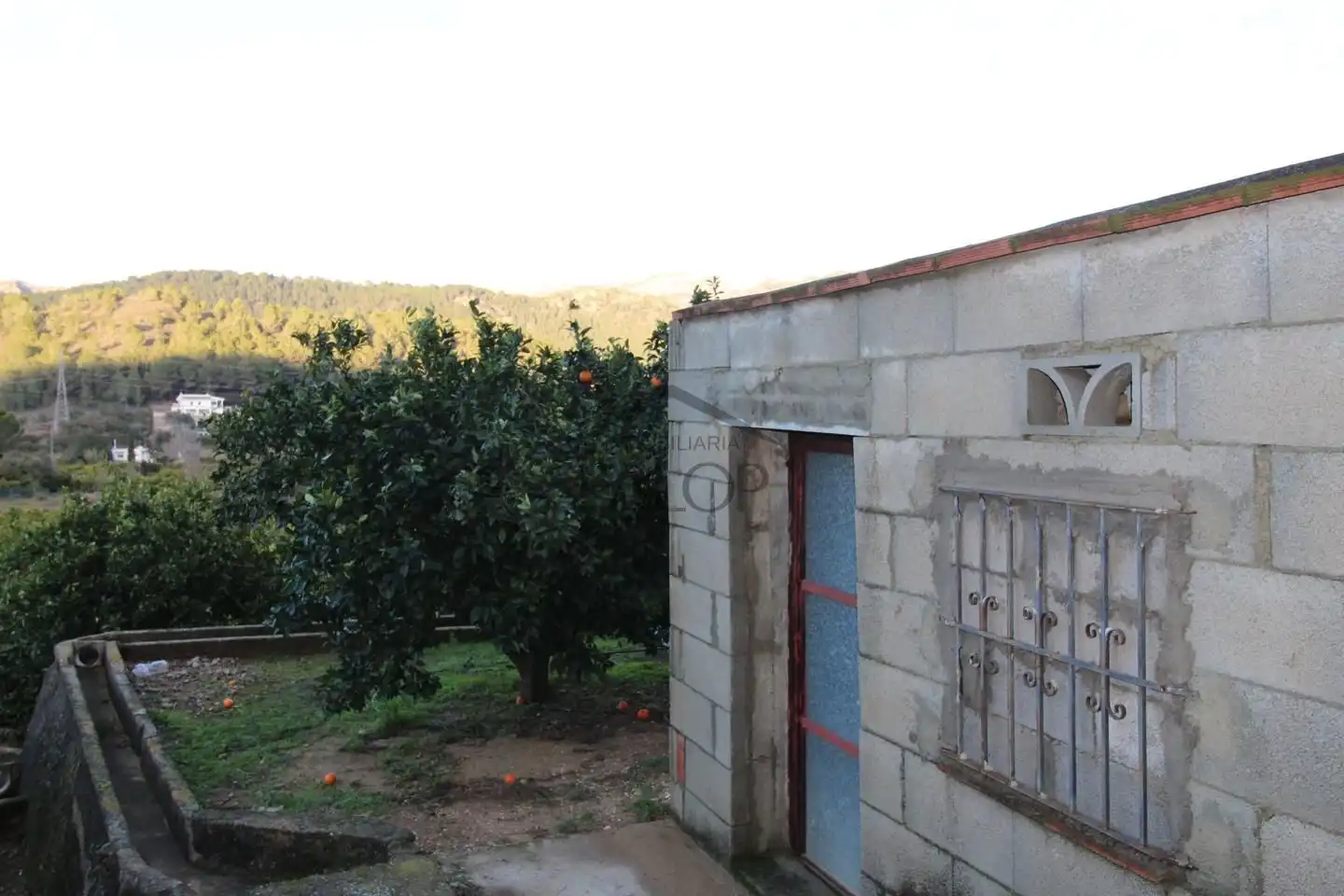 Terrenos y solares en venta en barranc del salt, imagen 6