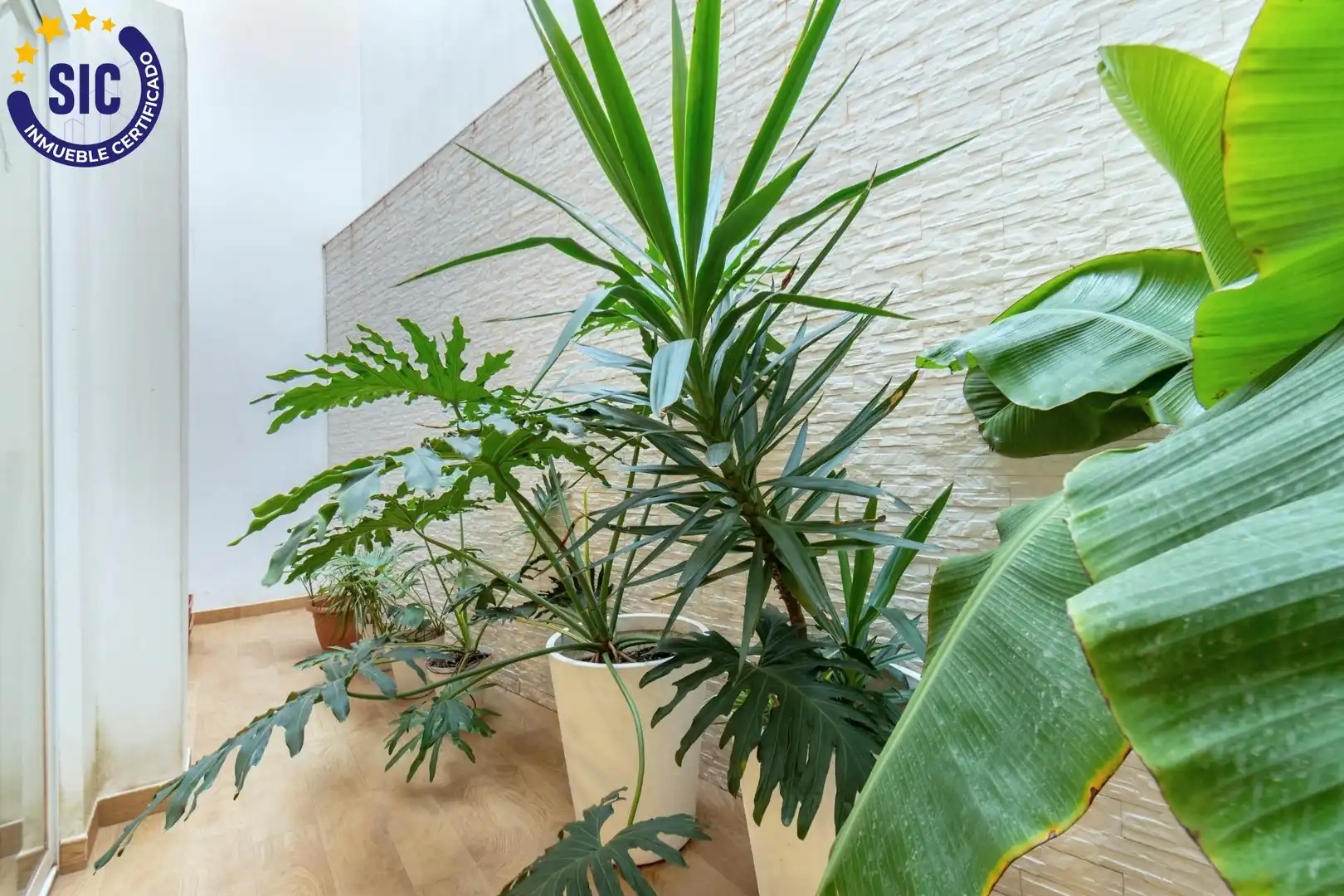Jardín de Edificio en venta en Castellón de la Plana / Castelló de la Plana