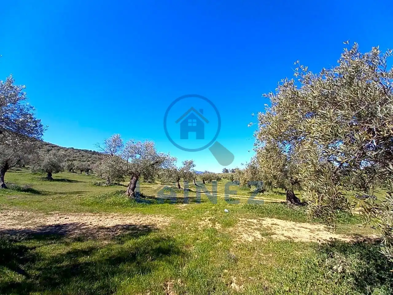 Terreny residencial en venda a Belmez, imagen 7